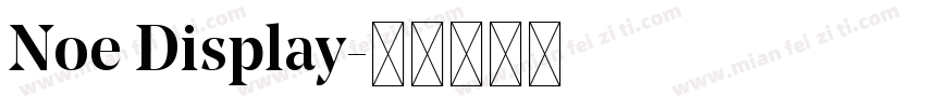 Noe Display字体转换